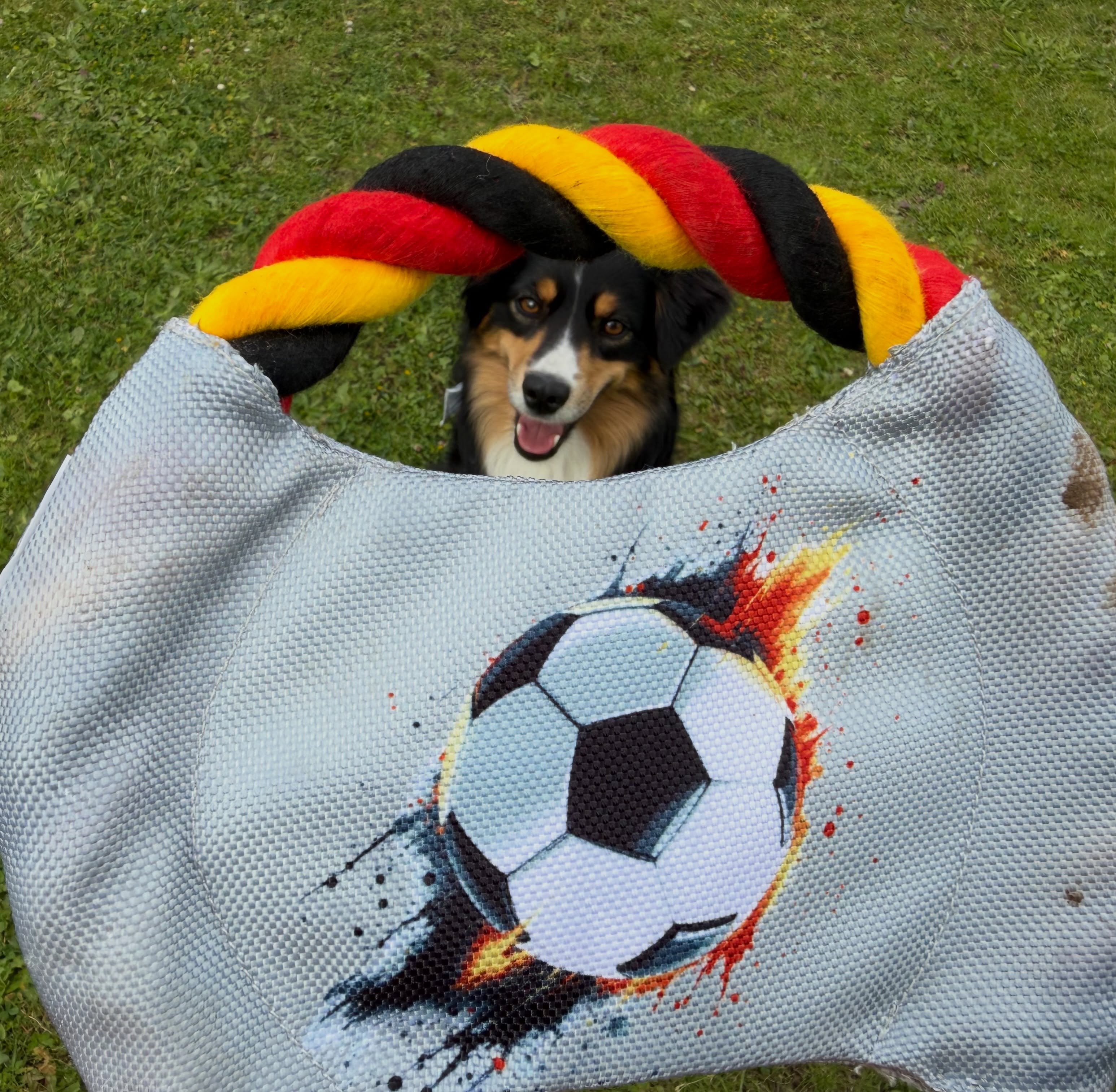 Endlich WM-Auftakt! ⚽️🥳 Smilla ist schon voll im Fieber – bei ihrer Liebe zu sämtlichen Ballsportarten wundert das wohl 